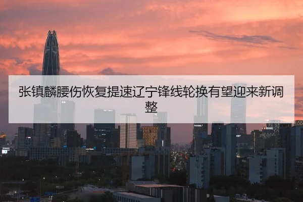 张镇麟腰伤恢复提速辽宁锋线轮换有望迎来新调整